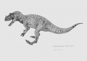 Ceratosaurus nasicornis_2