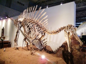 Spinosaurus_2