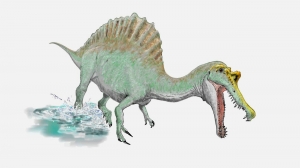 Spinosaurus_3