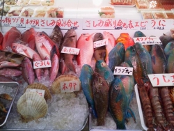 第一牧志公設市場　魚
