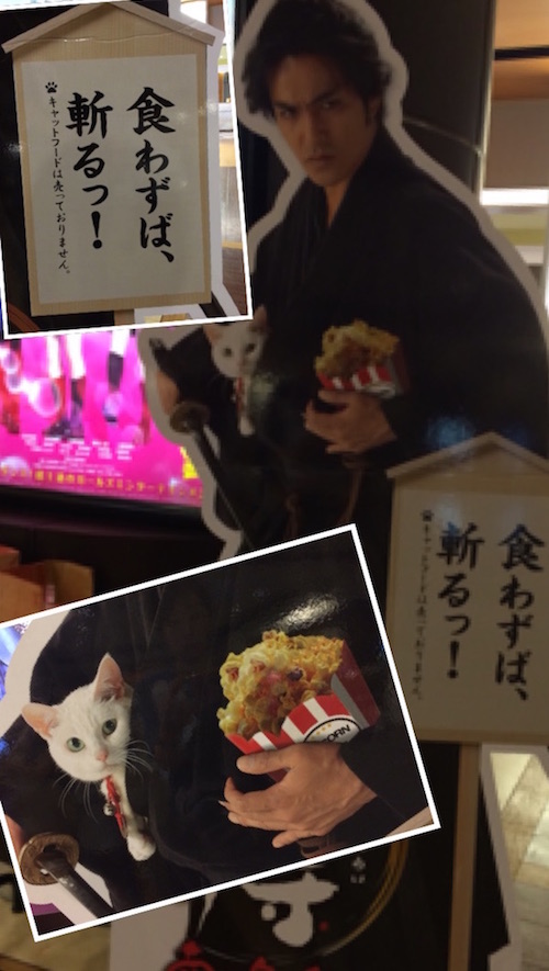 2015:9:5猫侍
