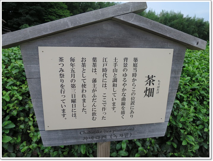 お茶畑札2015-09-03岡山 (280)