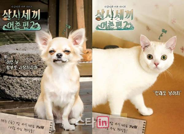 Web記事 サンチェの犬の権利 ポリの猫の権利 三食ごはん 制作陣の正しい演出 チャ スンウォン