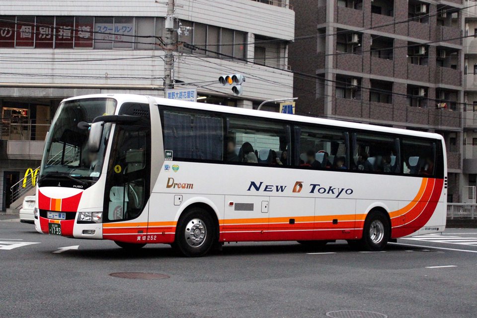 ニュー東京観光自動車 252