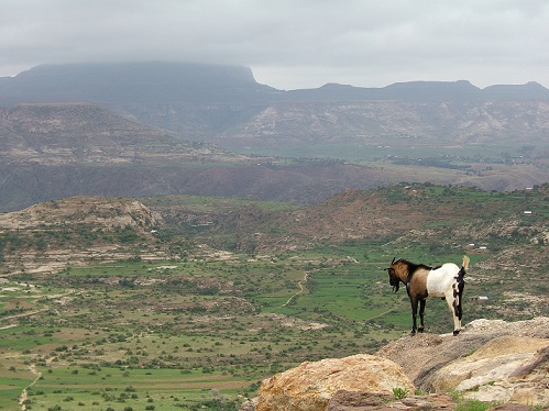 Ethiopian_Highlands_01.jpg