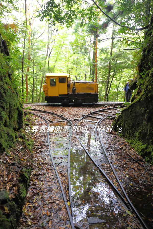 蒸気機関車 Soul Train S 14 4 安房森林軌道 究極の 雨の表現