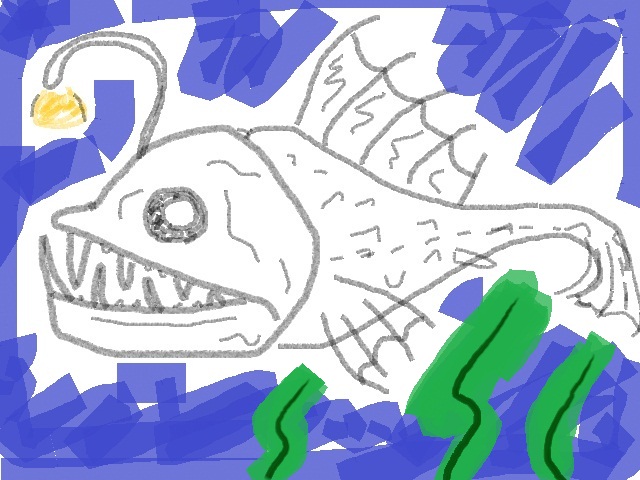 深海魚1